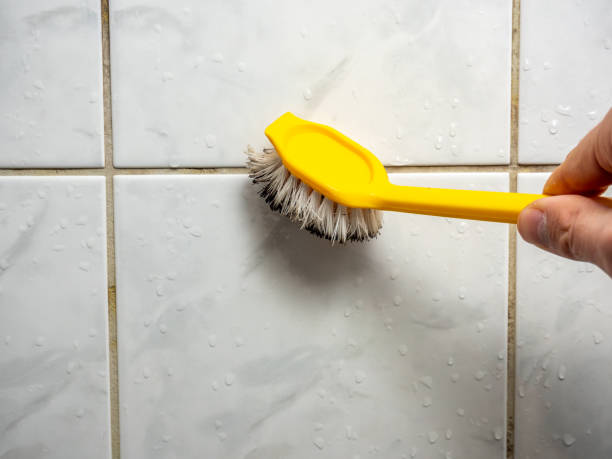 Best Best Mold Removal Companies  in Newark, TX
