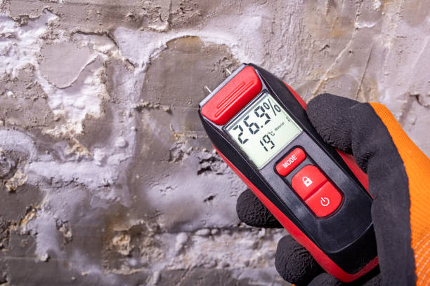Attic Mold Removal in Newark, TX