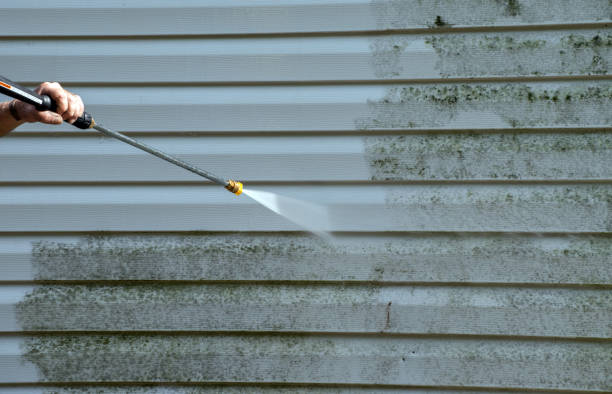 Best Commercial Mold Removal  in Newark, TX